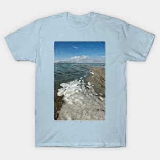 Shore of Great Salt Lake T-Shirt